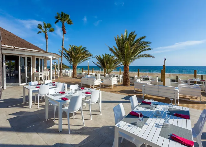 سول لانزاروت - شامل الكل